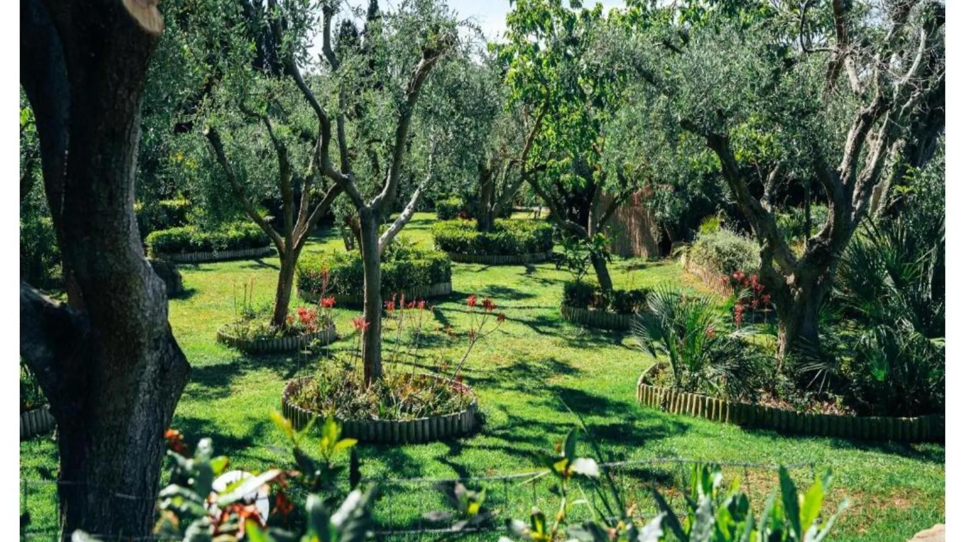 Apartment Classic In Castiglione Della Pescaia