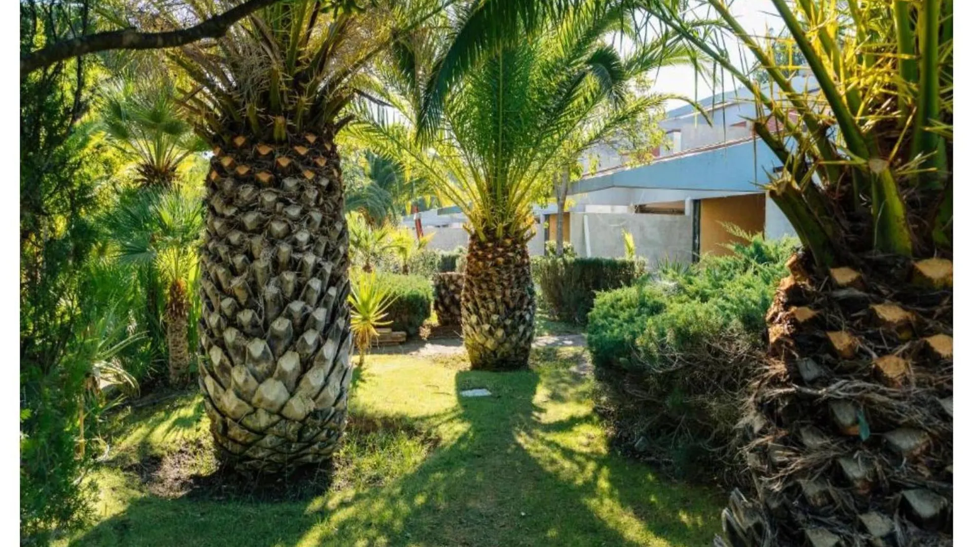 Apartment Classic In Castiglione Della Pescaia